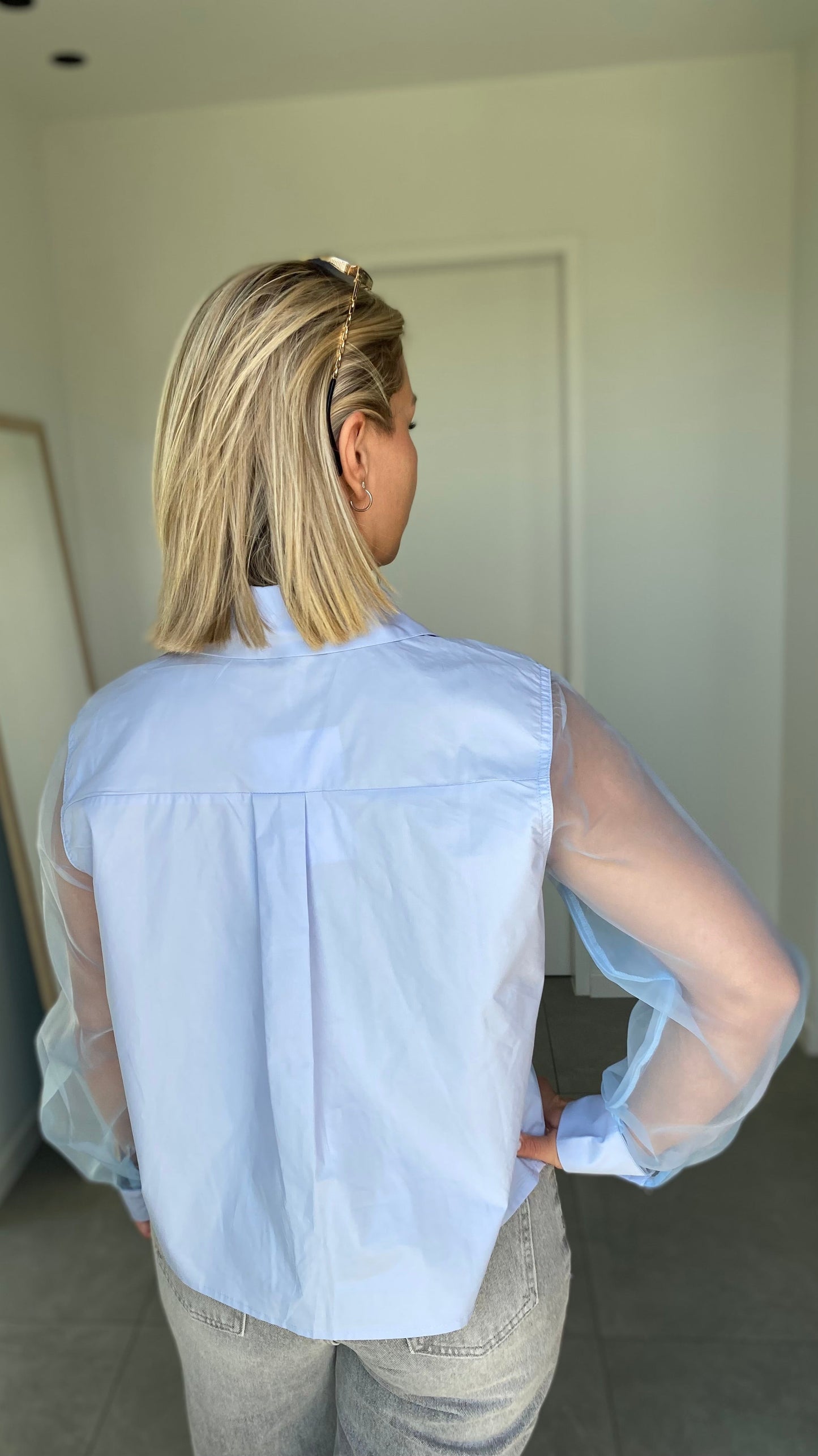 Organza sleeve blouse